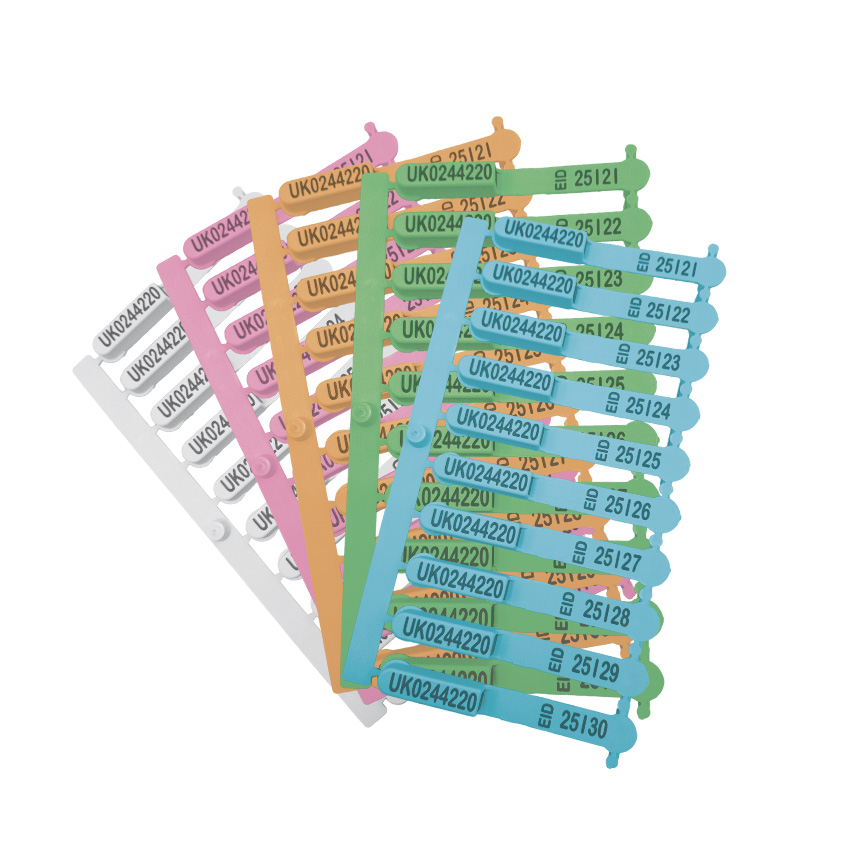 Z For Sheep Visual Management Tags