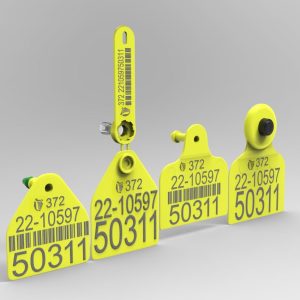 Replacement Electronic (HDX) & Visual Tag Set