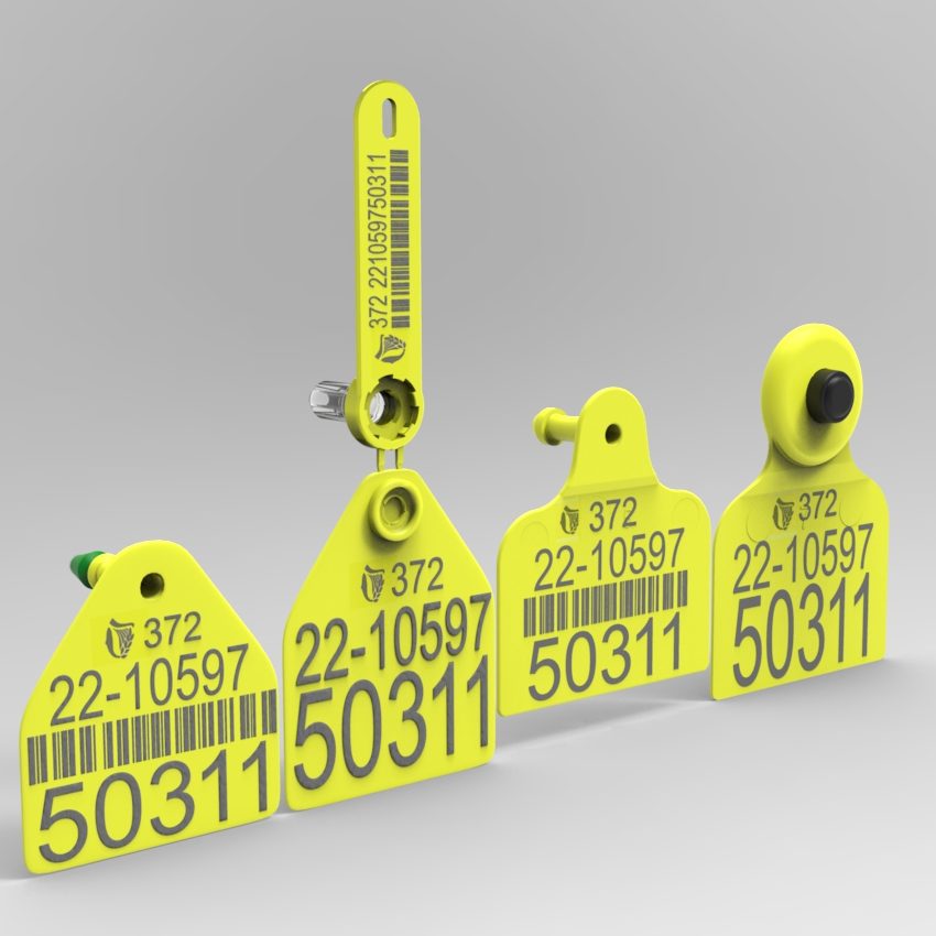 Replacement Electronic (HDX) & Visual Tag Set