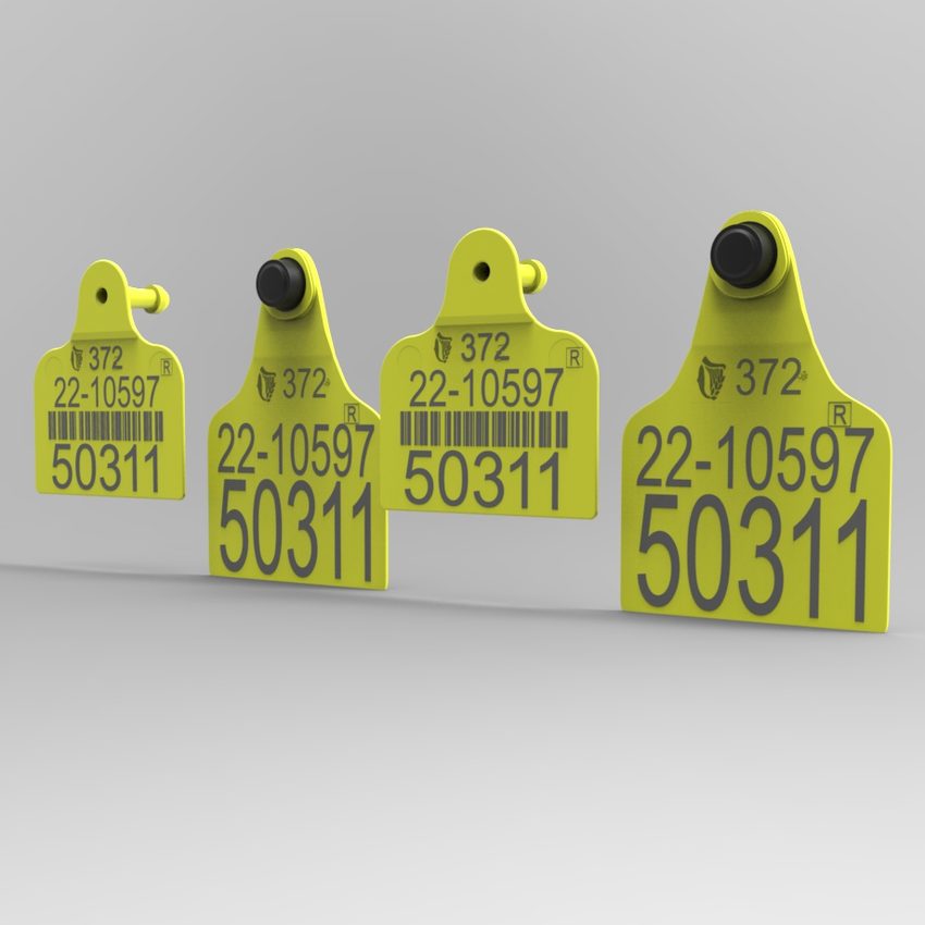 Replacement Visual Tag Set